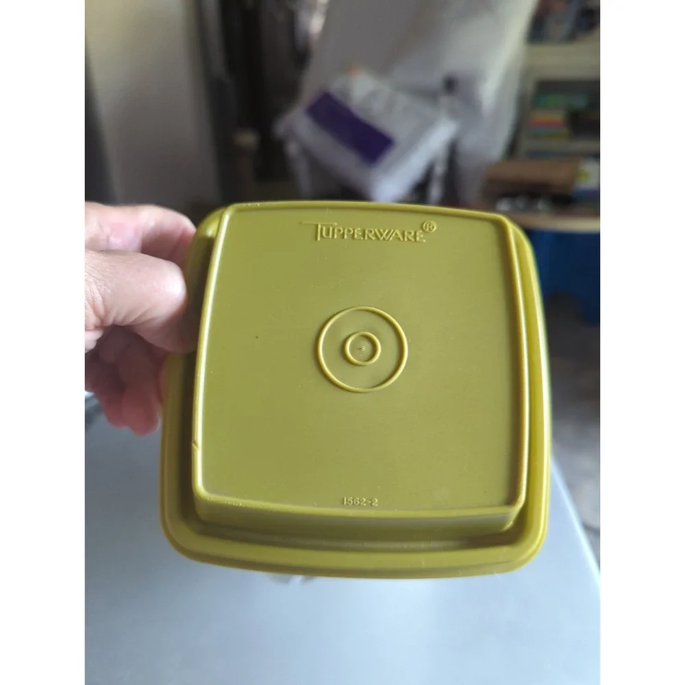 Vintage Large Tupperware Pick-A-Deli Container Sheer & Avocado Green
